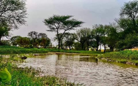 كميات المطر خلال 24 ساعة الماضية على ثلاث ولايات من البلاد