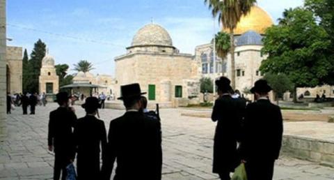 131 مستوطنون يقتحمون المسجد الأقصى من باب المغاربة