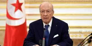 المعارضة المصرية تشن هجوم على الرئيس التونسى