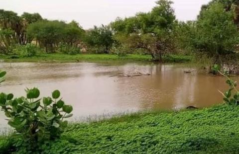 أمطار جديدة أغلبها بكيدي ماغا