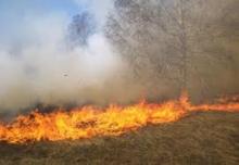 مقاطعة الركيز: حريق واسع في مراعي