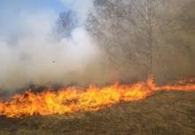 كنكوصه: اندلاع حريق جديد بالمراعي 